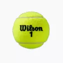 Топки за тенис ROLAND GARROS ALL CT 4BALL 2PK